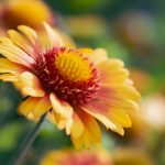 成人av在线观看 1lw38h