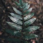 国产成在线观看免费视频 3tlfvjdh