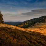 国产V片在线播放免费 ca4rf6cj3y