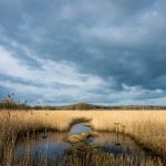 国产中年熟女大集合 cypik3qz