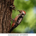 国产在线看片免费人成视频 llg8lsja