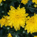 在线精品自偷自拍 rab1d0os