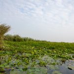 国内绝对真实偷窥短视频 sb6syoy